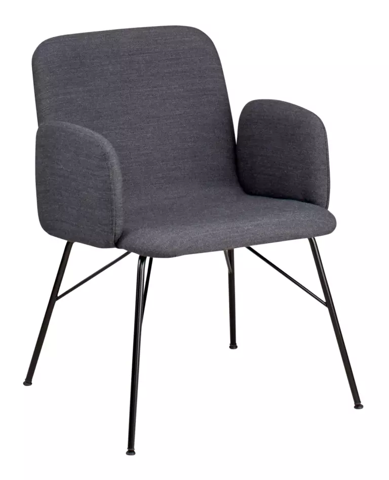 LELU chair 4 steel legs, with armrests