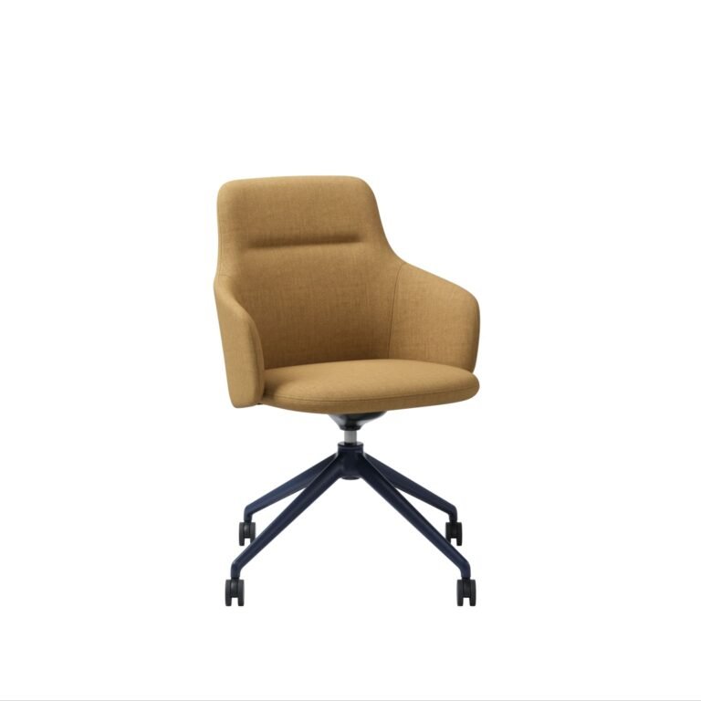 Reco, chair with 4-star swivel base